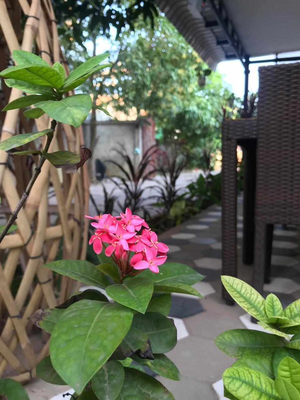 My Home Villa Siem Reap Exterior photo